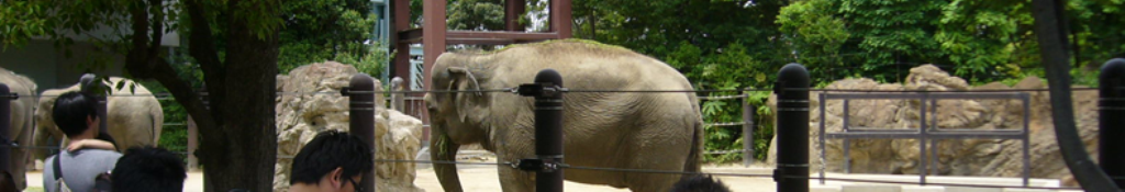 クビレディにこんな事実が！！